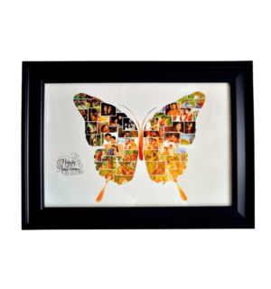 butterfly collage photo frames
