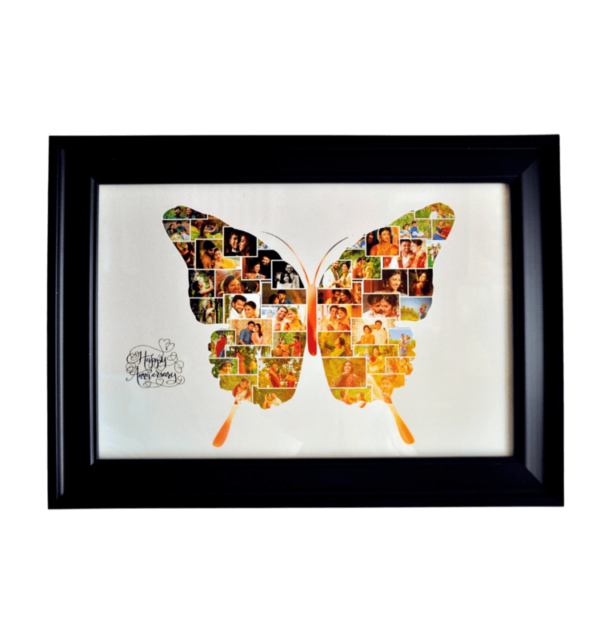 butterfly collage photo frames